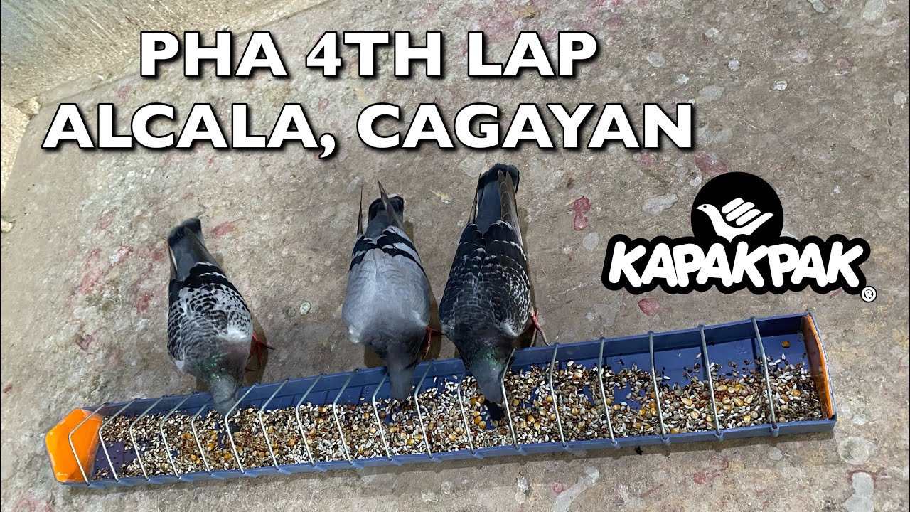 PHA 4TH LAP ALCALA CAGAYAN