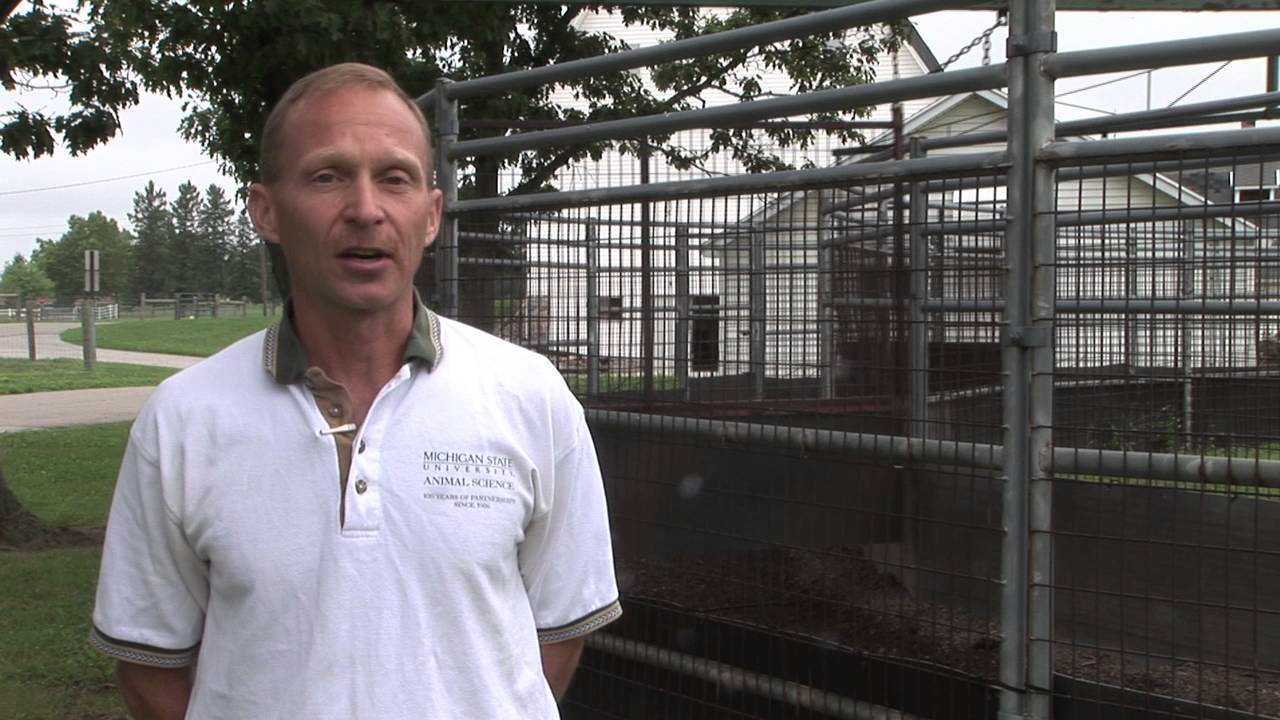 Horse Facilities: Horse Walker Design