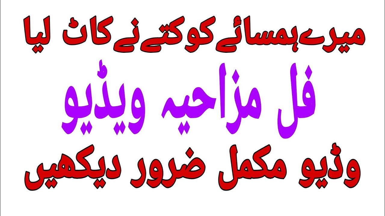 Kutta Pay Gya full funny video
