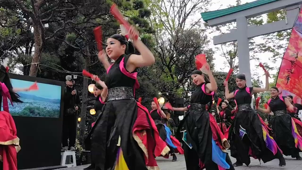 疾風乱舞　(しっぷうらんぶ　よさこい）2025 よさこいご縁まつり　 (神奈川県 秦野市　出雲大社相模分祠）2025.4.12