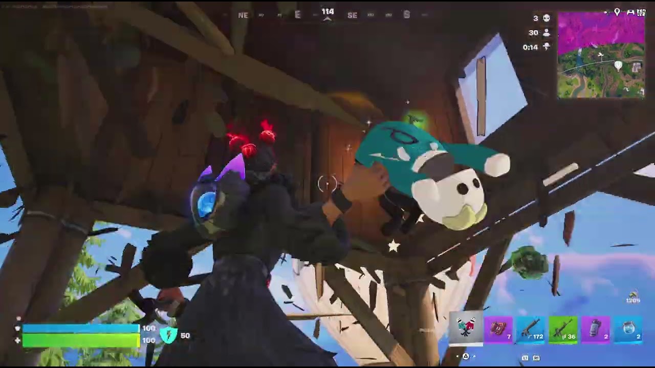 *Fortnite*