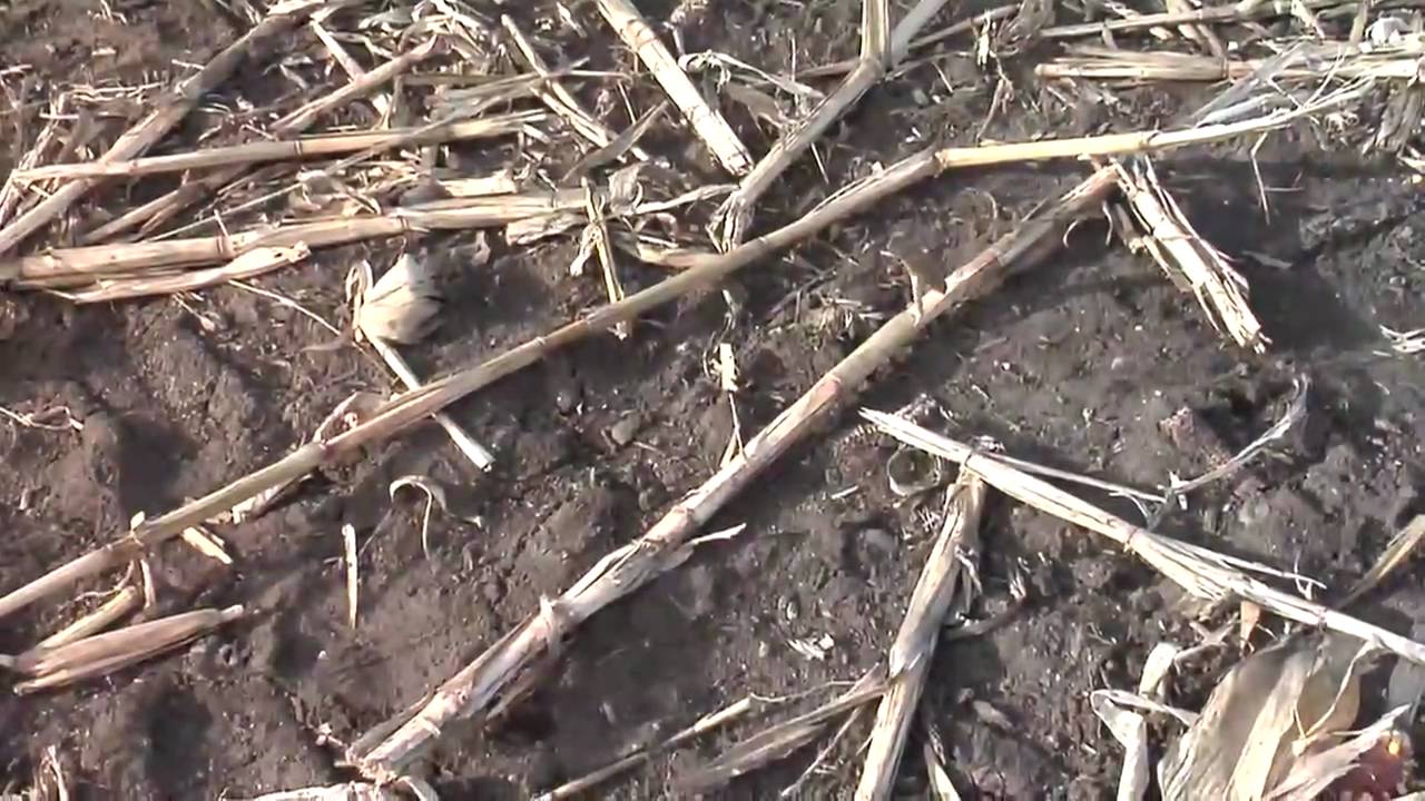 Ag Minute #454 (Original Air Date 9/11/09)