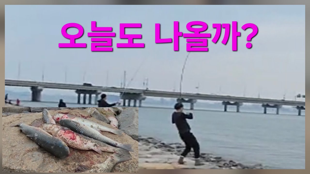 케이한투버 - 낚시스토리 라이브 방송
