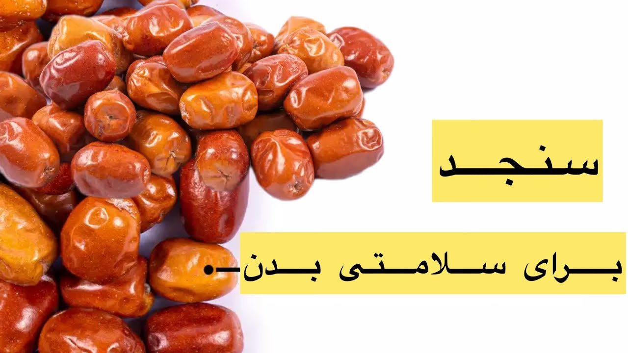 فواید بی نظیر میوه سنجد برای سلامتی بدن The unique benefits of Russian Olive fruit for body health