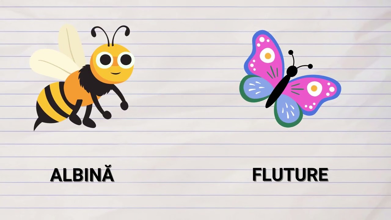 Anotimpul Primăvara  Vocabular