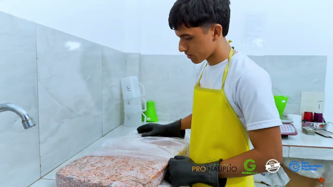 Video institucional ProNapuplio.