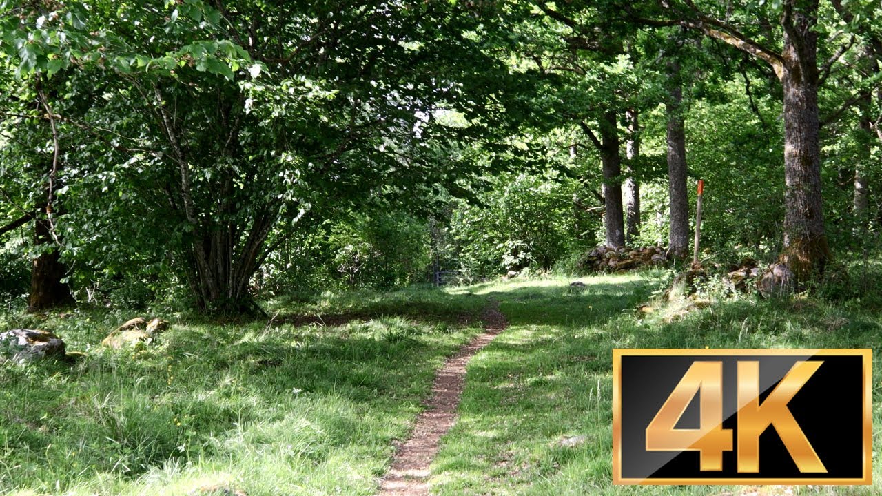 4K | SWEDEN - Nature walk in Korpebobergs l&ouml;vskogar ( Attraction in Ulricehamn )