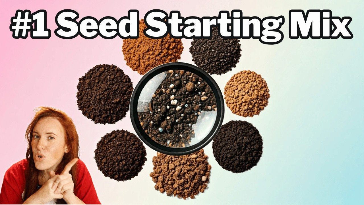 7 Seed Starting Soils: Don't Waste Money on the WRONG One!