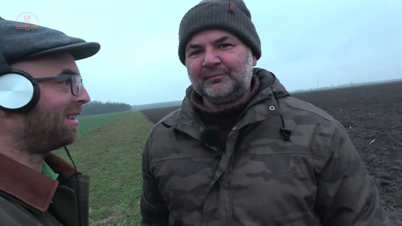 Talajművelő retkek! Nálunk a gyökerek szántanak! - BERENTE Antal #notill #TMG