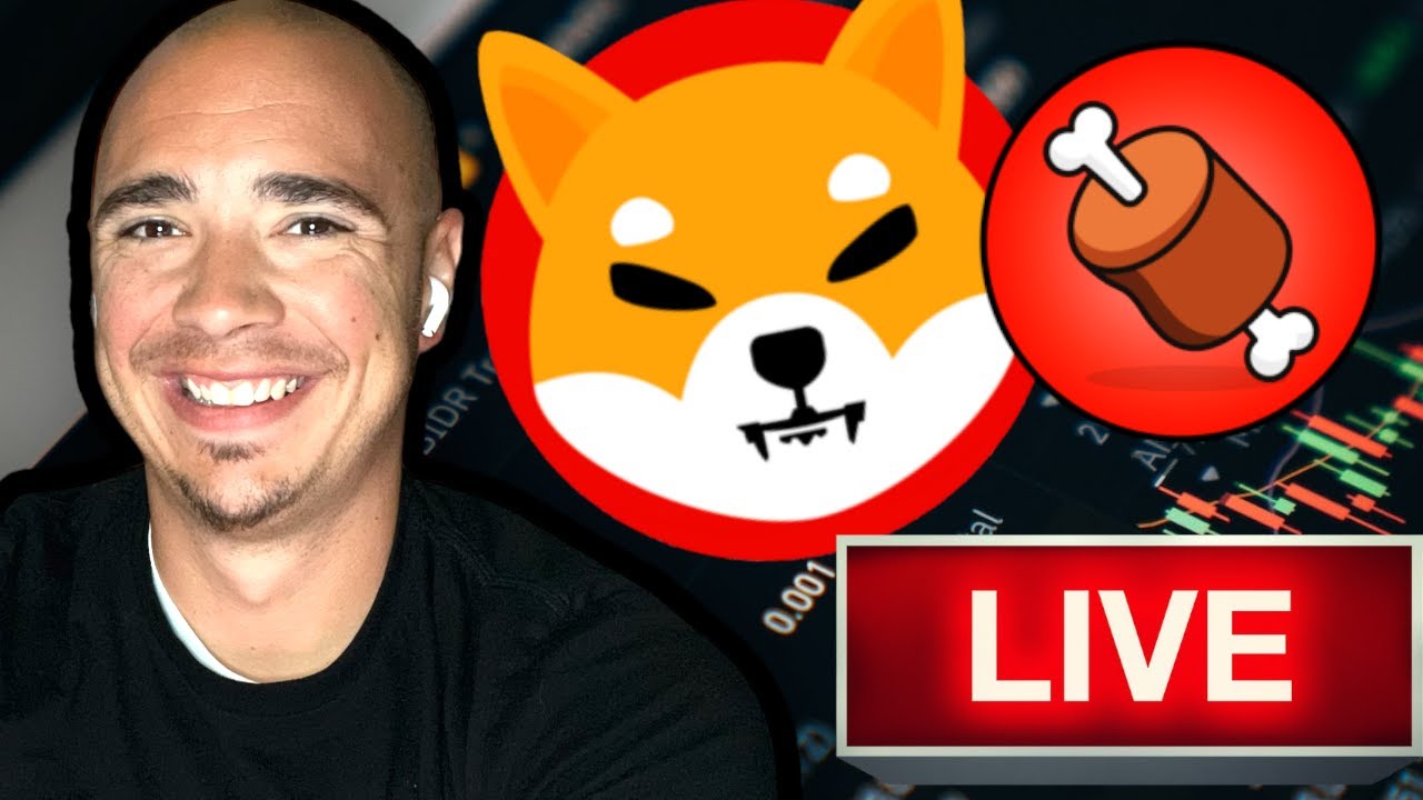 SHIBA INU LIVE! BONE IS RUNNING! SHIBARIUM IS COMING!
