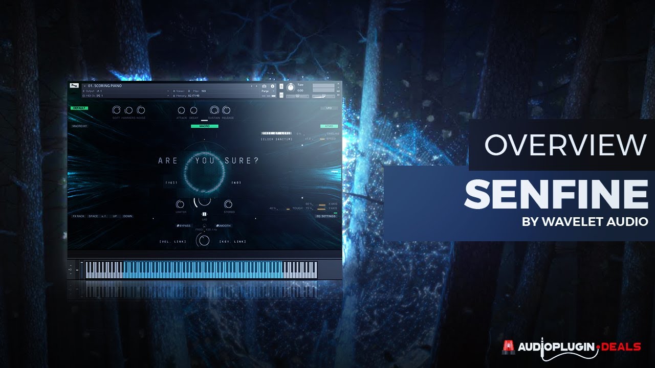 Checking Out Senfine by Wavelet Audio