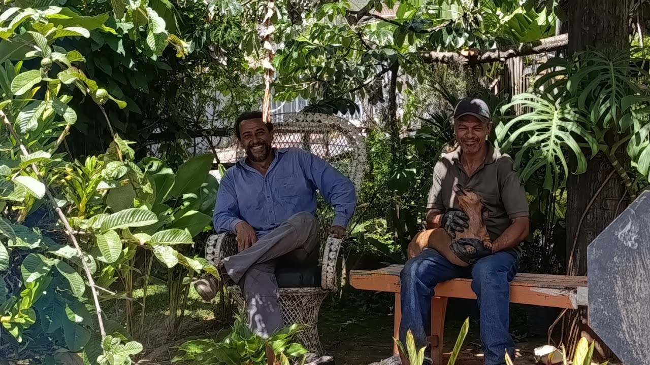 VOLTEI NA FLORICULTURA TUPÃ # LAGUINHO  COM VÁRIAS ESPÉCIE DE PEIXES # ORQUÍDEAS # E  MUITO MAIS 🐠🌺🌵