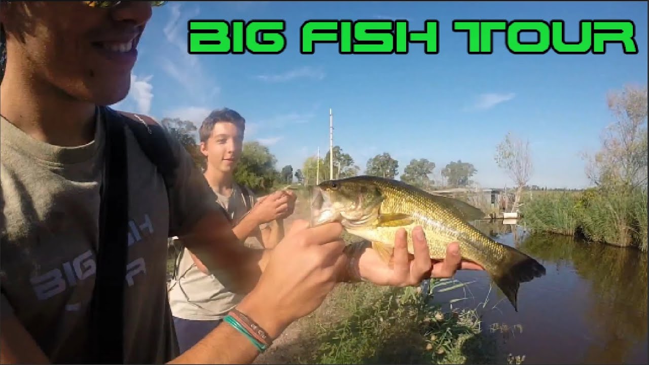 Big fish tour - A pesca di black bass e lucci al lago di Massaciuccoli!