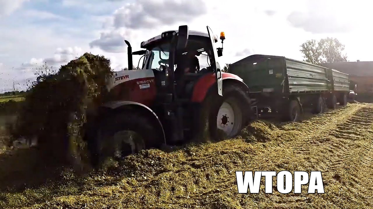 ☆Kukurydza na kiszonkę 2019 ☆GR MANIA ☆WTOPA STEYR'a ☆10 ZESTAWÓW☆