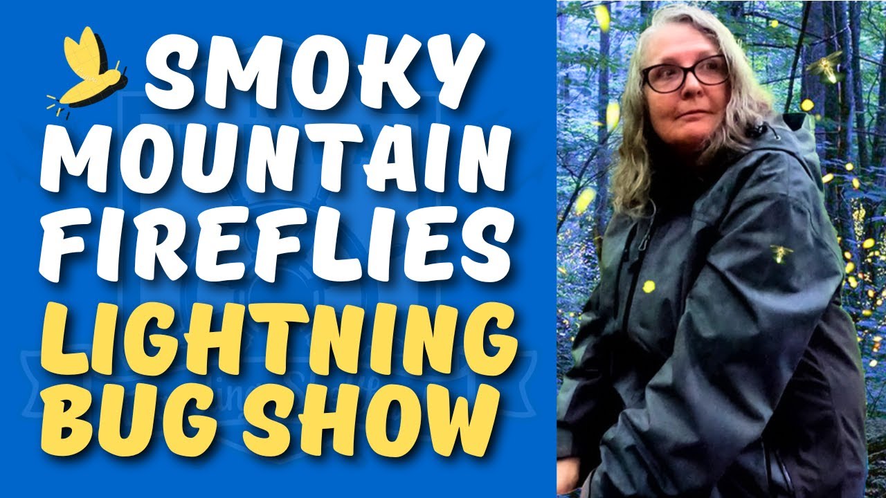 Synchronous Fireflies in the Great Smoky Mountains National Park - Wow