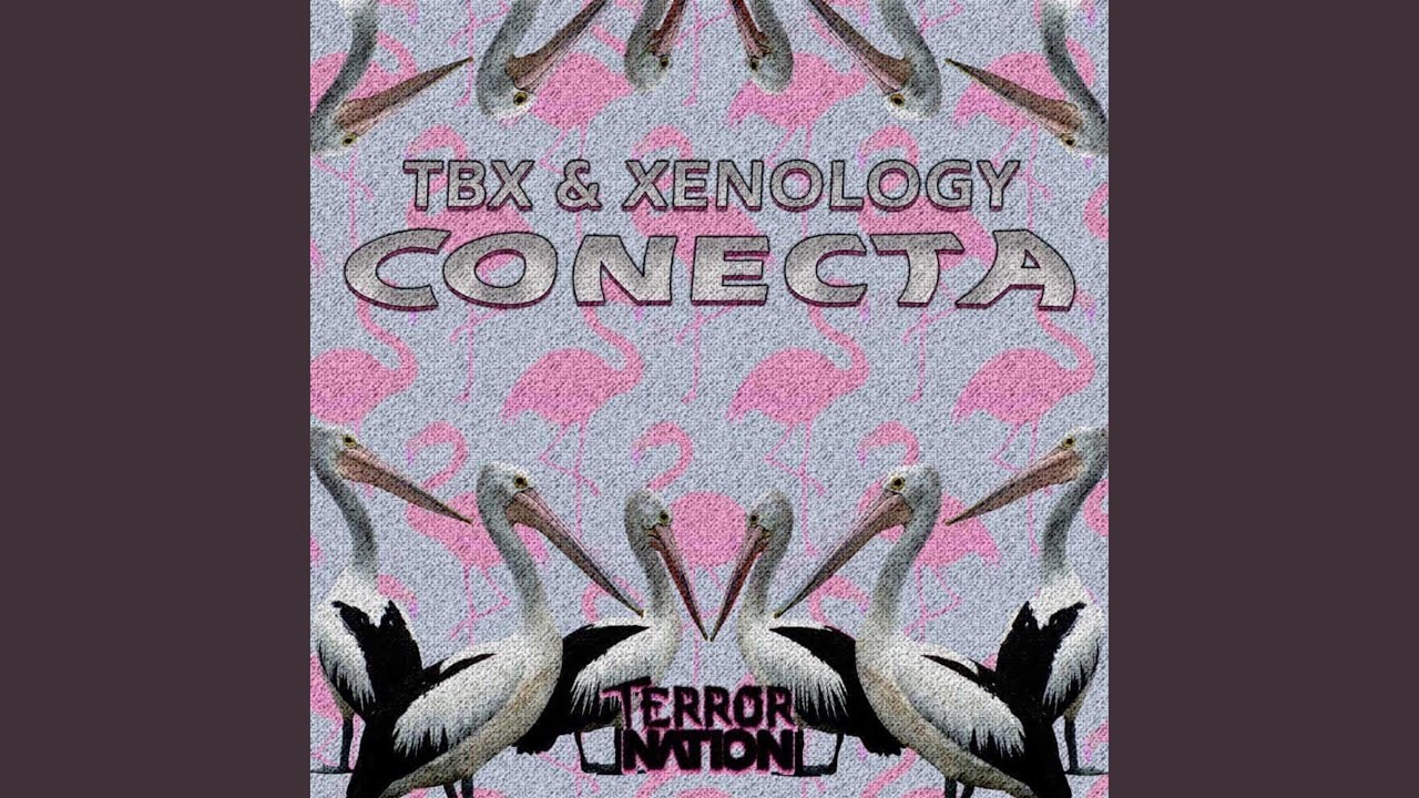 Conecta