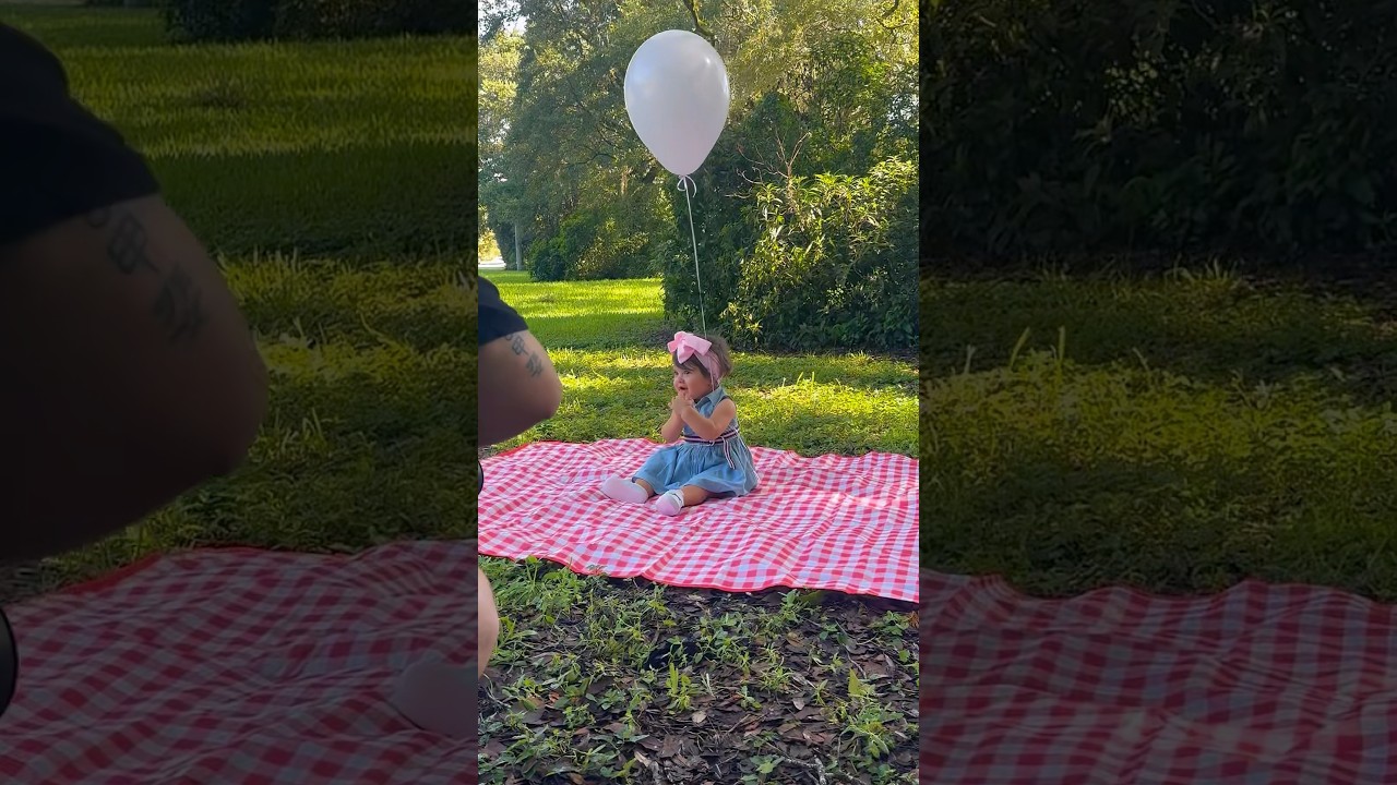 Baby&rsquo;s First Birthday Vibes&hellip; CUTEST Picnic Ever! 🎂🎈