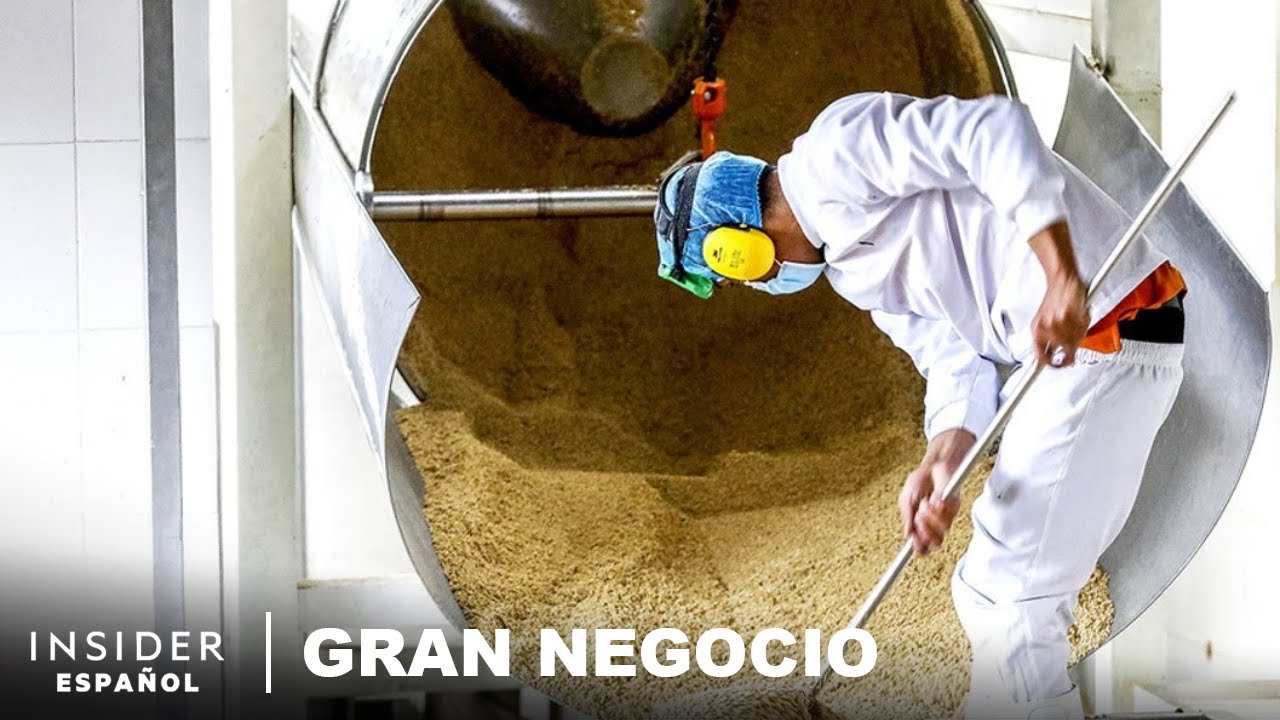 El precio de la quinoa baja, pero se cosechan 100.000 t por año | Gran negocio
