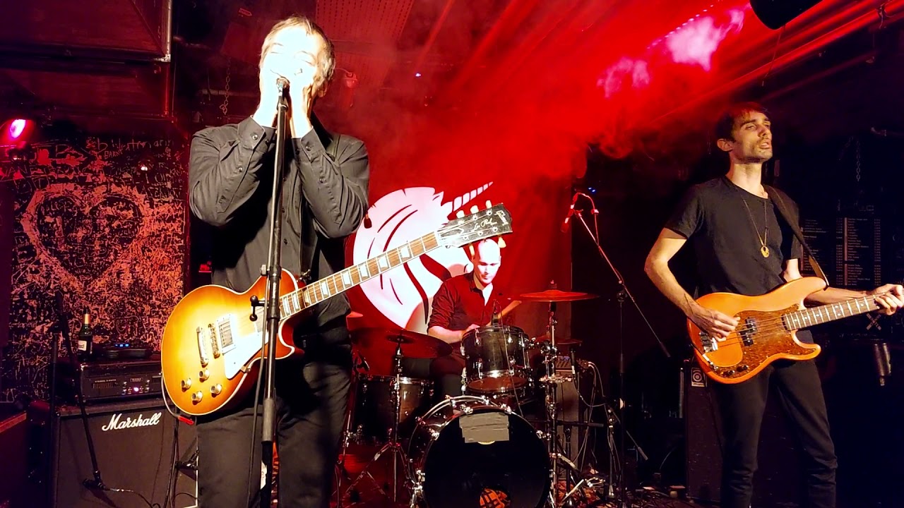 PINK TURNS BLUE - live in the Rote Sonne in munich 19.11.2021