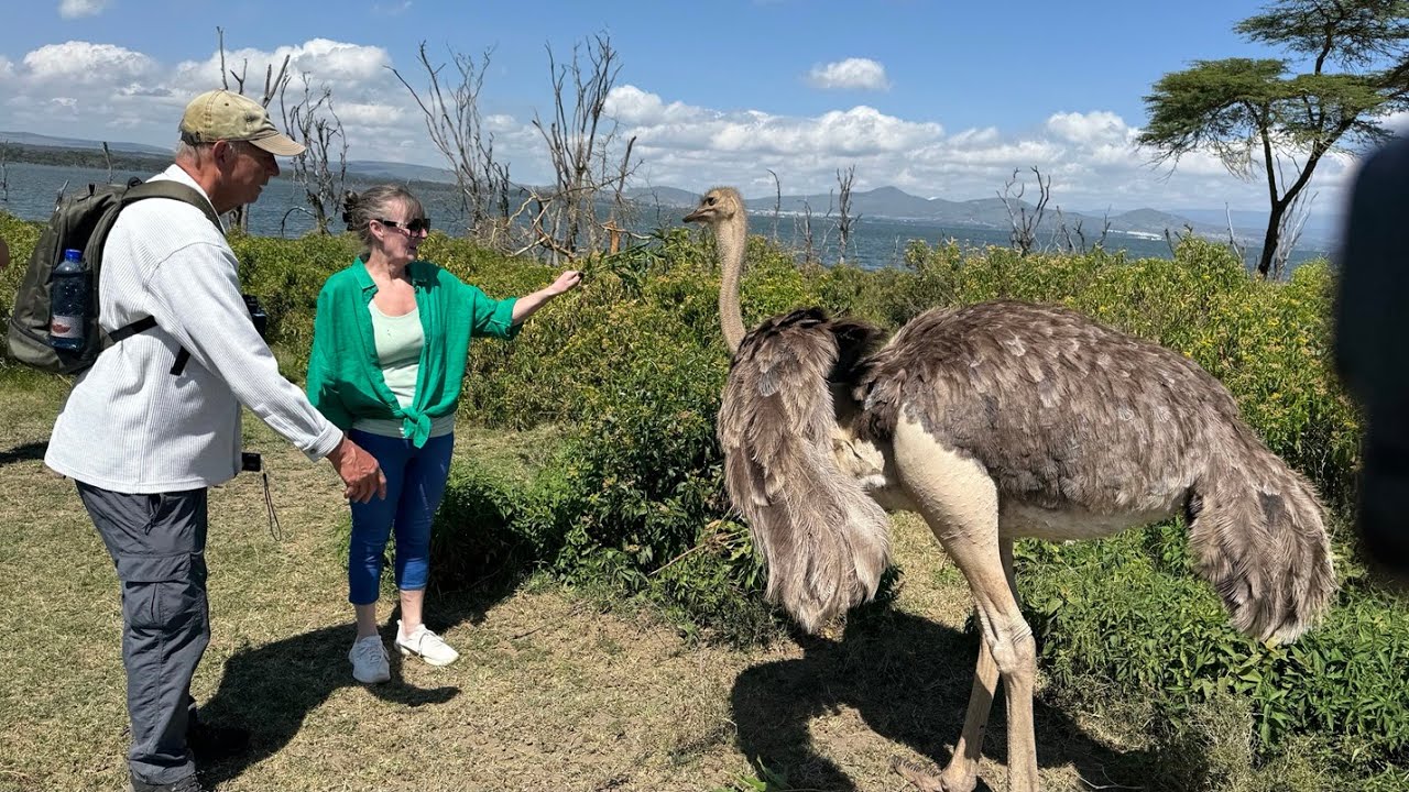 Lake Naivasha & Crescent Island Game Sanctuary Kenya