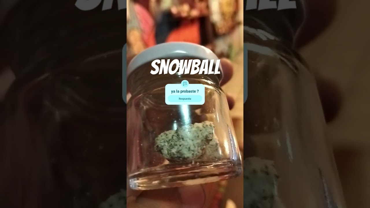 Snowball weed nugget 🍁⛄❄️#420 #snowball #smoker