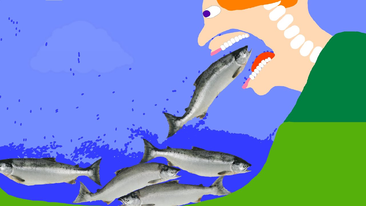【Algodoo】Eat fish.　魚を食べる人