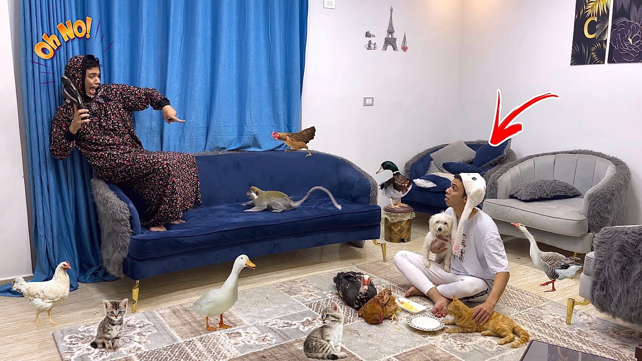لما اخوك الصغير يجيب حيوانات من الشارع ويدخلها البيت😂🐶 السلسيلي