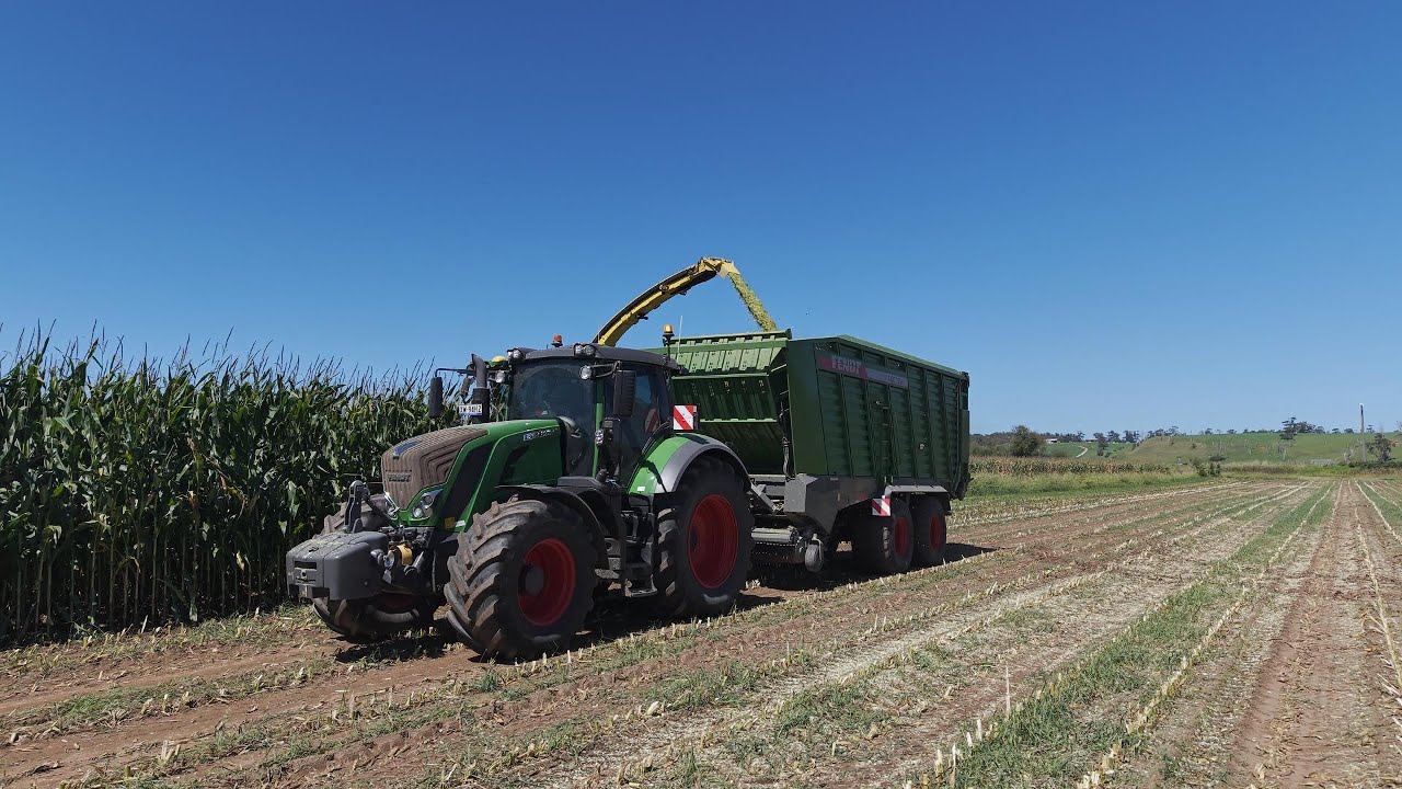 Bates Ag Maize Harvest 2025 | Australia, Victoria