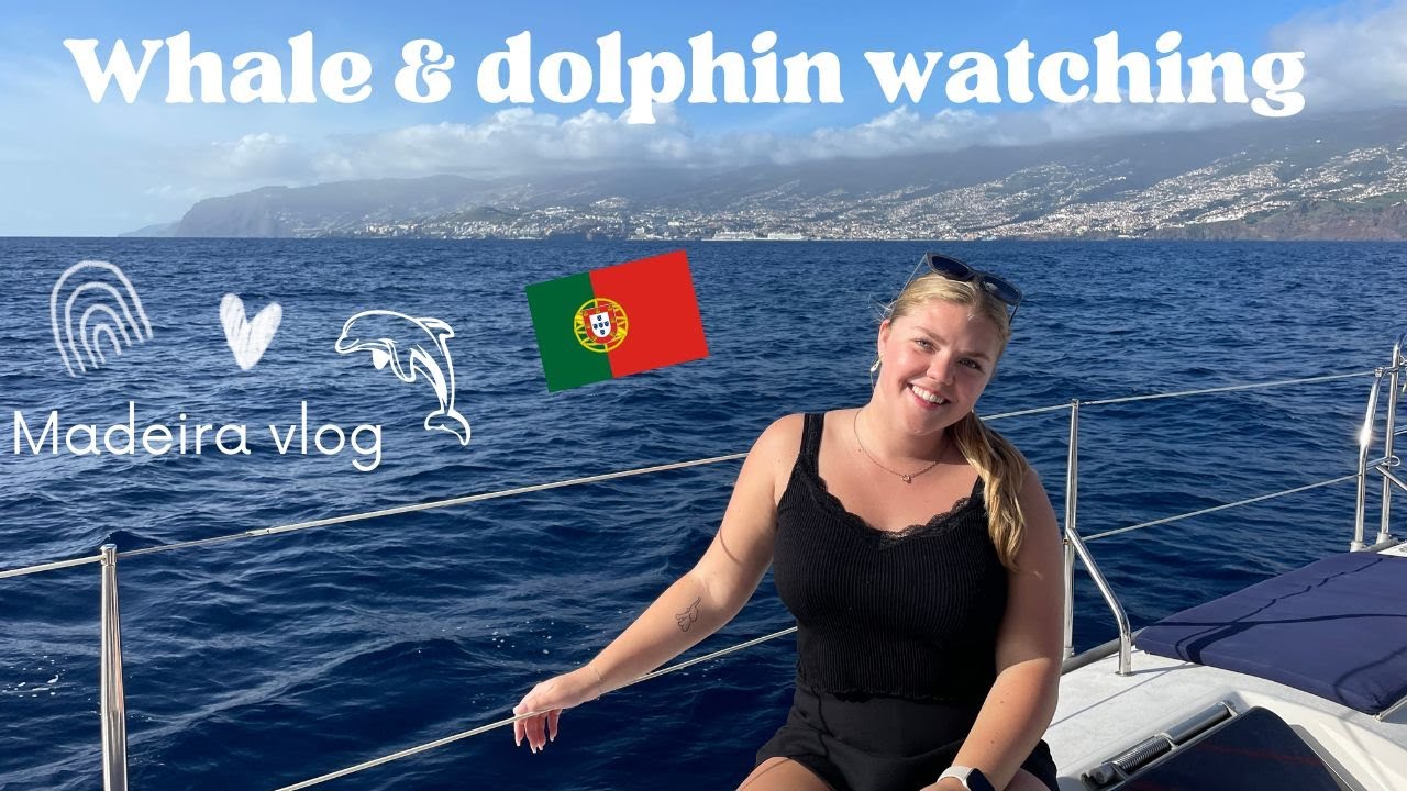 Whale & dolphin watching Madeira | Catamaran cruise