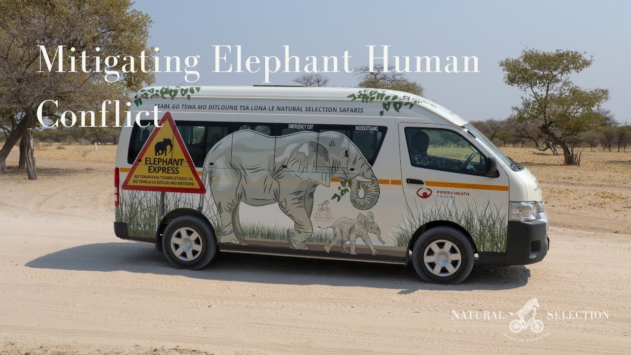 Mitigating Elephant Human Conflict