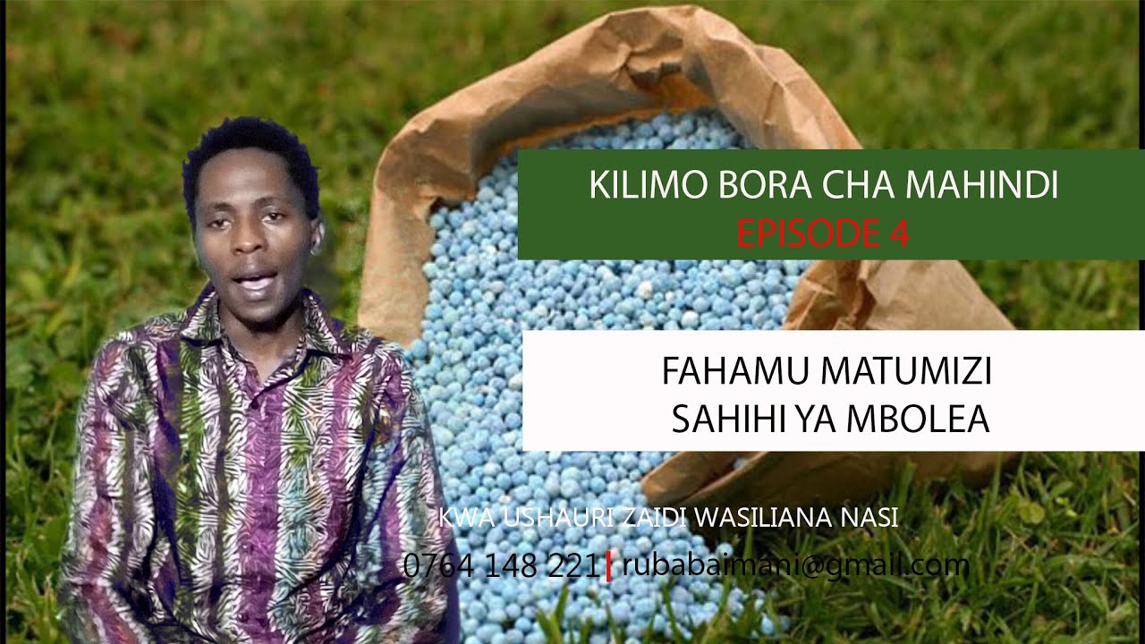 KILIMO BORA CHA MAHINDI EP4: FAHAMU MATUMIZI SAHIHI YA MBOLEA/ MADHARA YA KUTOTUMIA MBOLEA