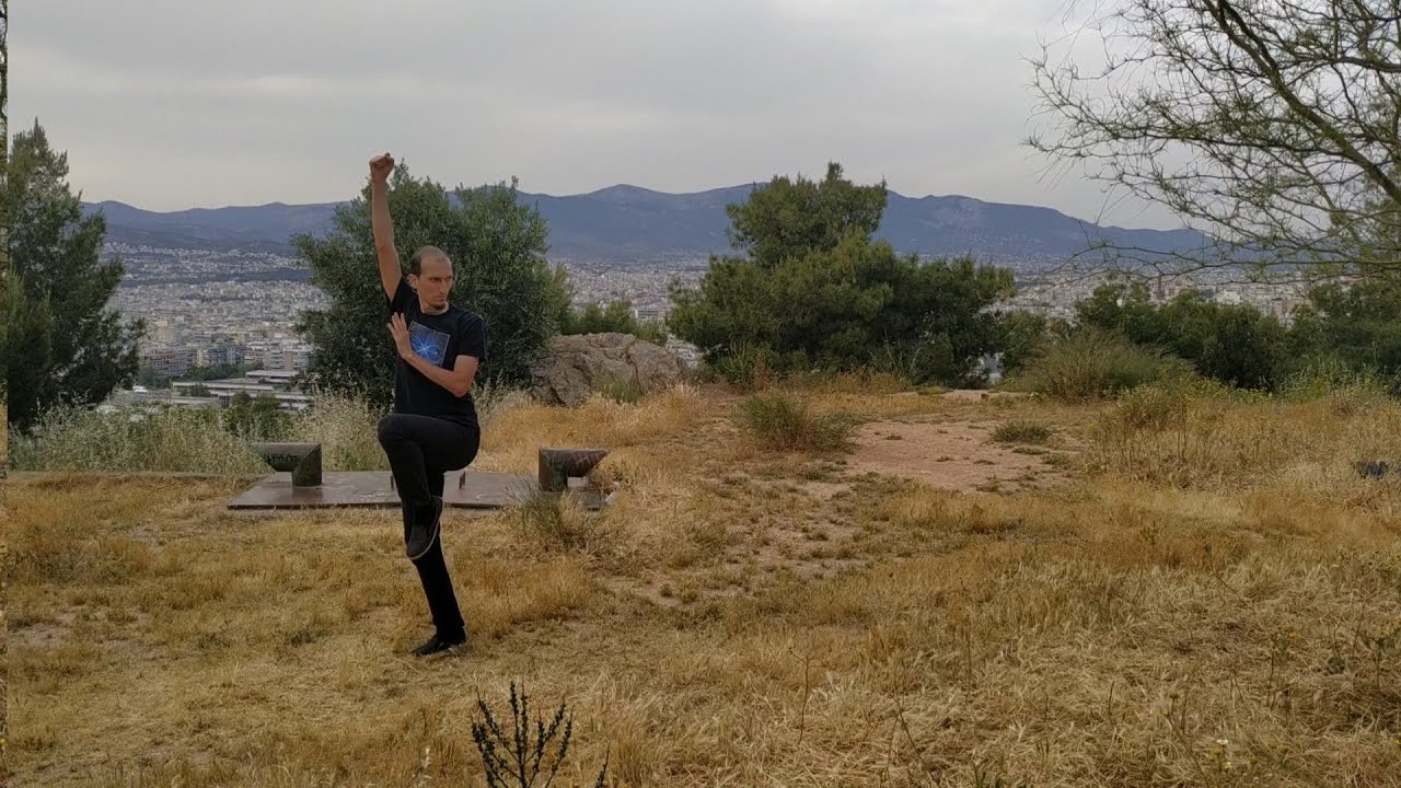After 3 Weeks Practicing Tai He Quan form (Jake Pinnick online course)