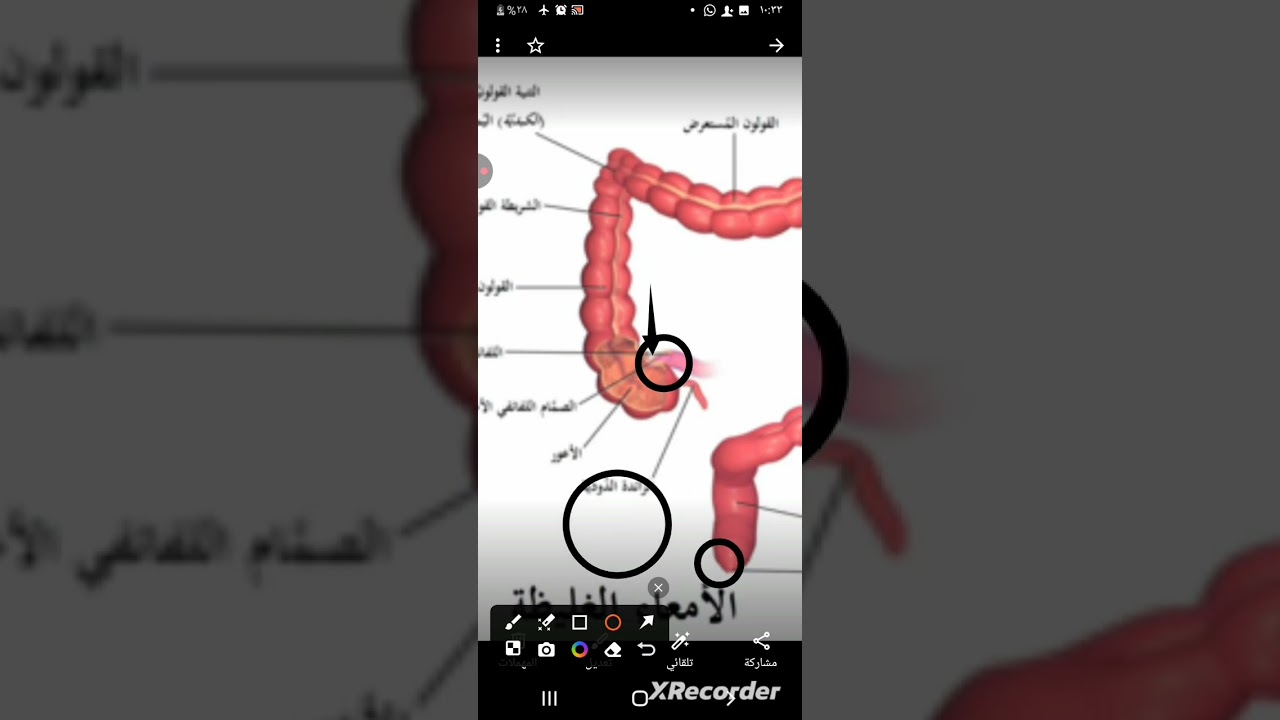 ١٩ فبراير ٢٠٢٦