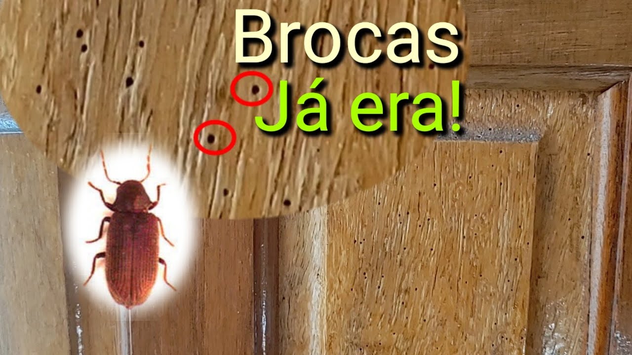 Matei, acabei com as brocas da porta!