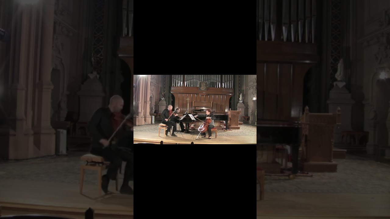 Vieuxtemps – Duo Brillant Finale 🎻 | Octave Fire & Tarantella Dance