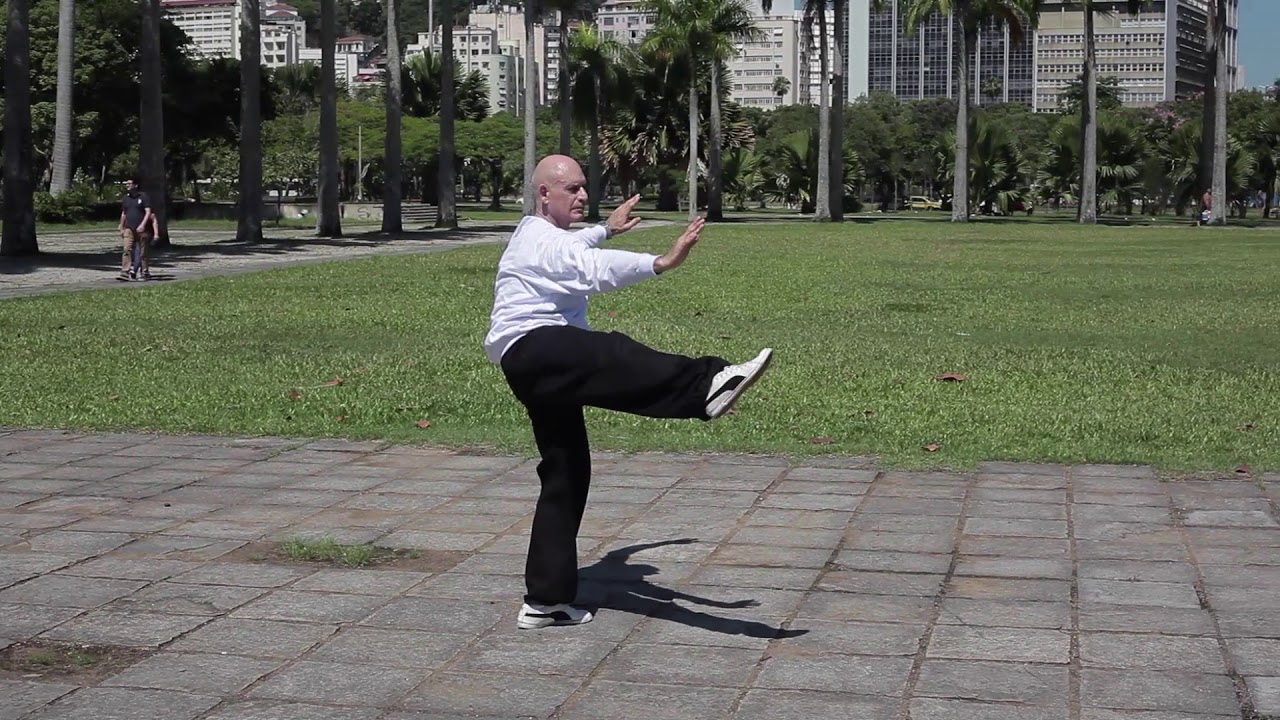 Yang Family Tai Chi Chuan - Essential Form 22