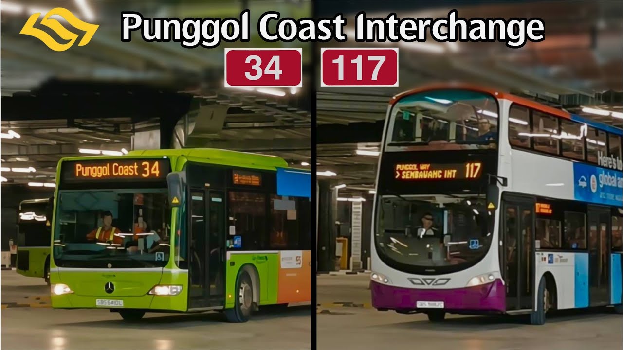 Buses At Punggol Coast Bus Interchange, 2 July 2025