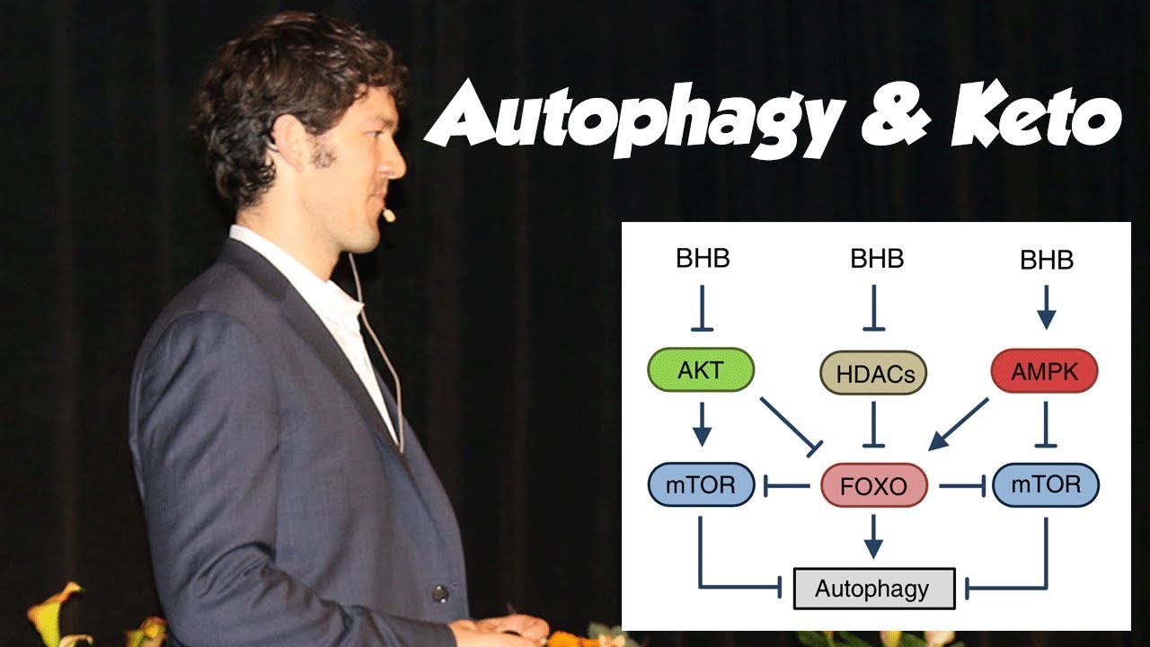 Autophagy & Ketosis (are like Peas and Carrots)