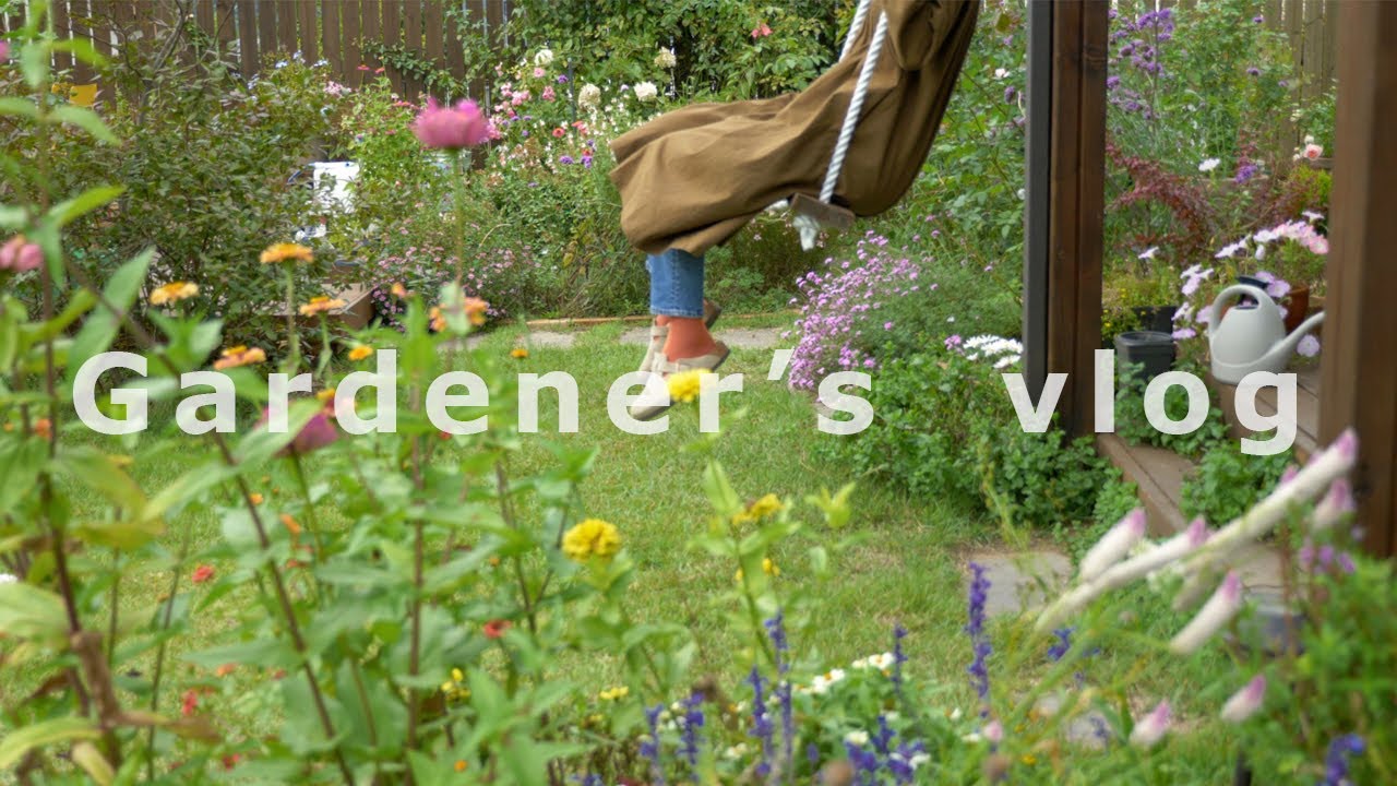 # 52 [Gardener's vlog] Что ты делаешь, когда находишься в загадке. Я делаю сорняки!