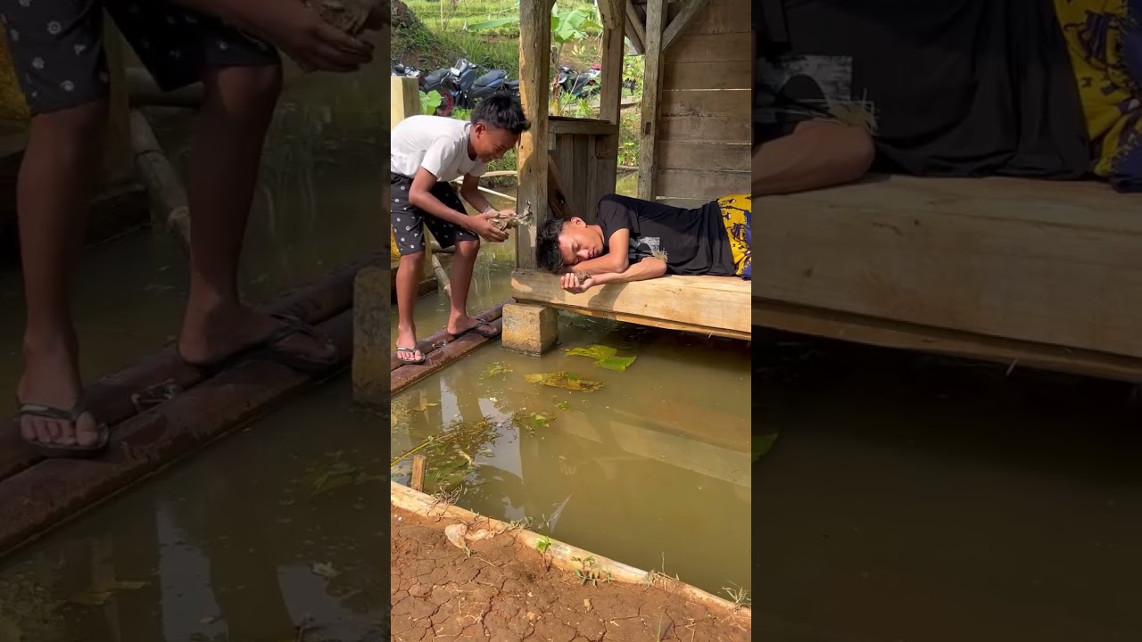 Herey dei wae siburikkkkk #shorts