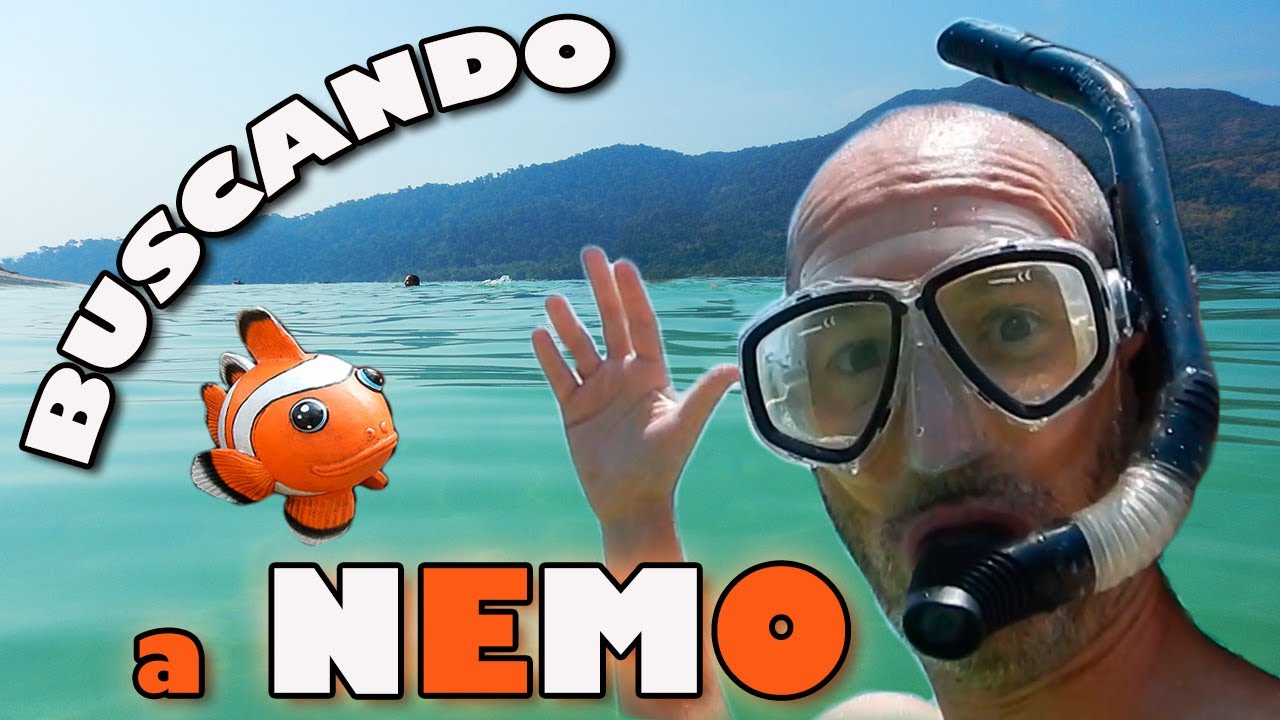 EL PARAISO está en KOH LIPE! 🌞🐠😎