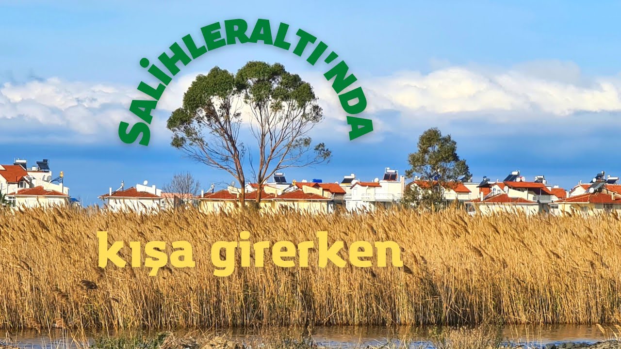 Dikili Salihleraltı Plajında Kış Güzelliği