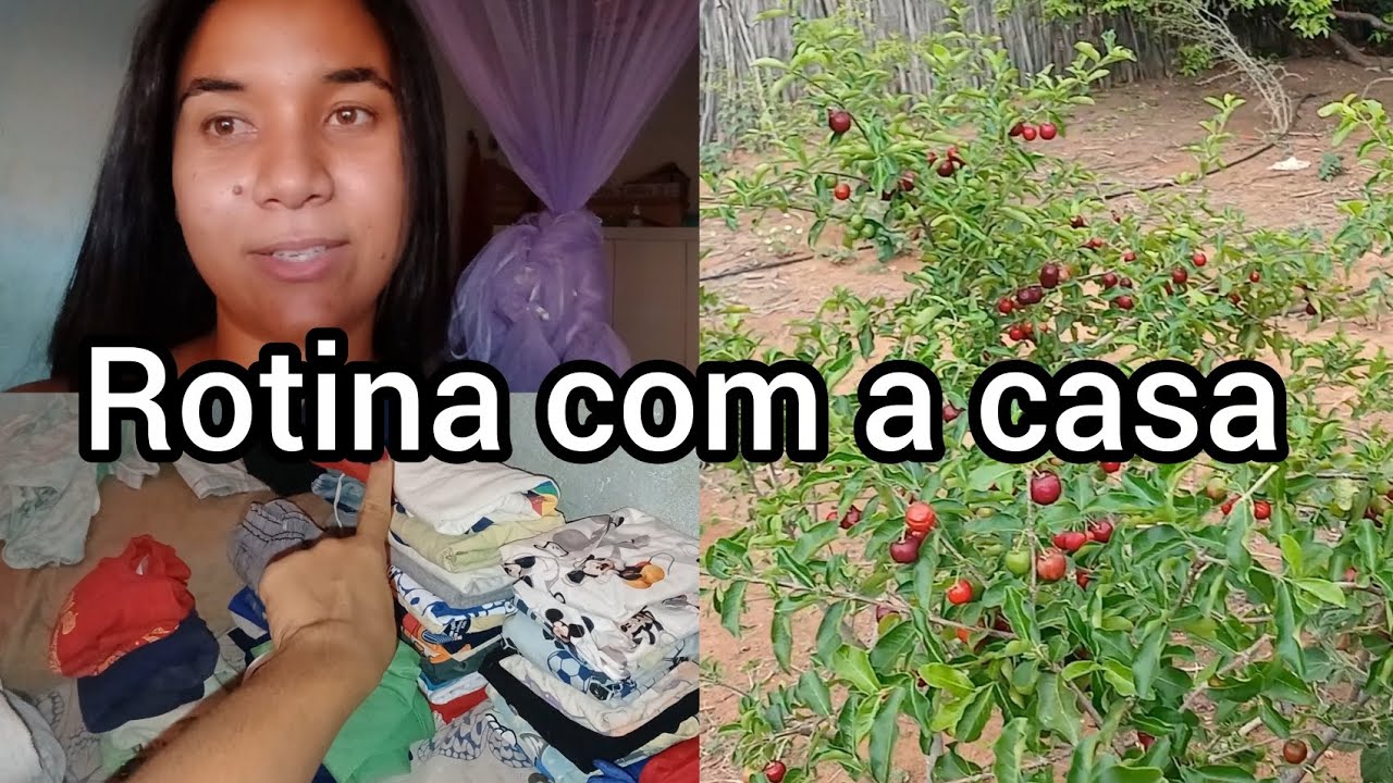 Cuidando do meu lar / colheita de acerola 