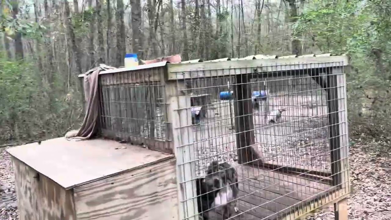 Любители посмотреть на шины‼️🤦🏾