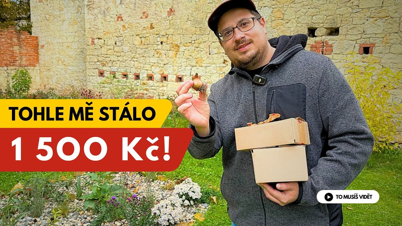 Proč sázím cibuloviny a jak mi to šlo?