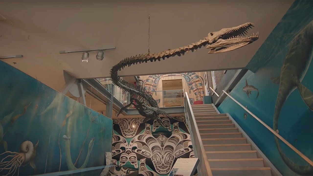 Welcome to the Courtenay & District Museum