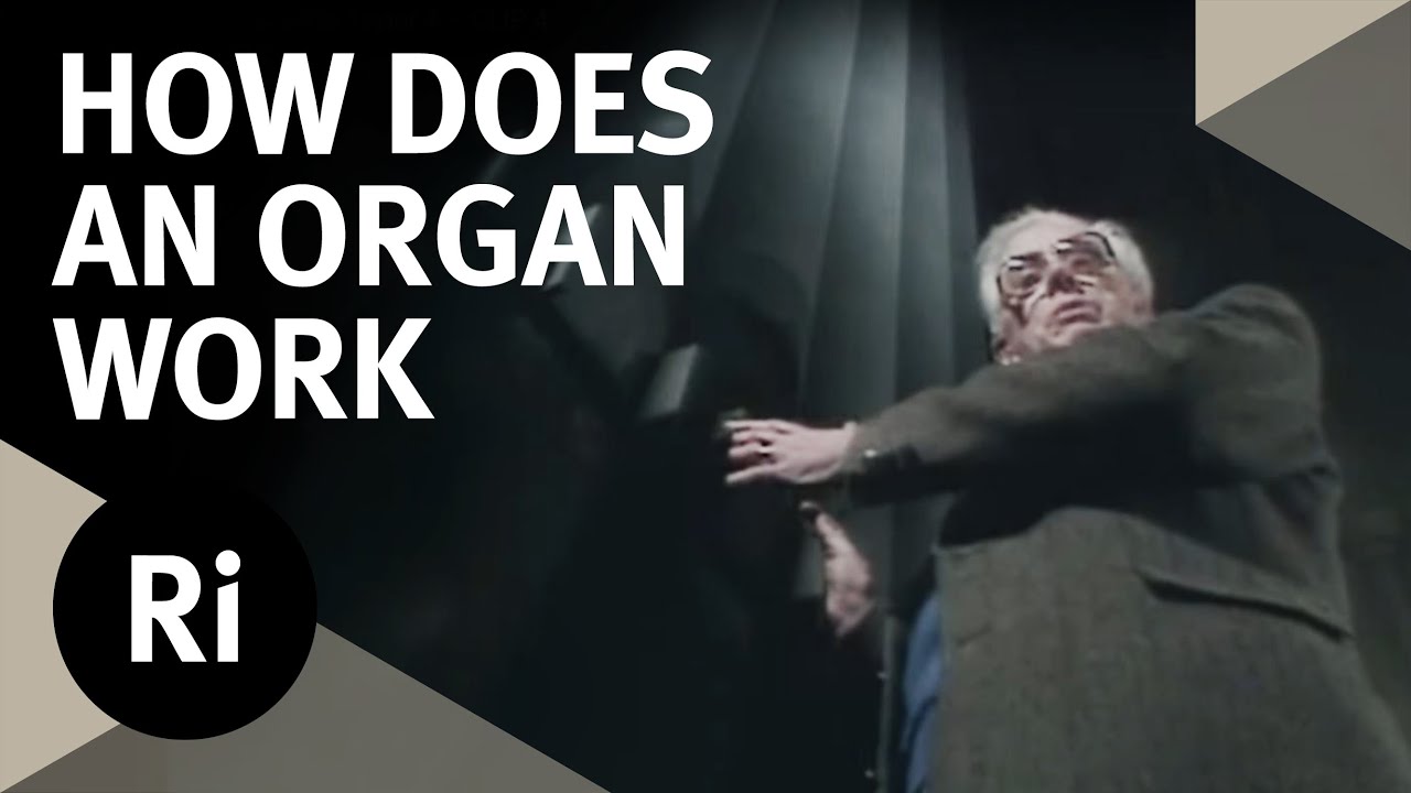 How Does an Organ Work? - Christmas Lectures with Charles Taylor