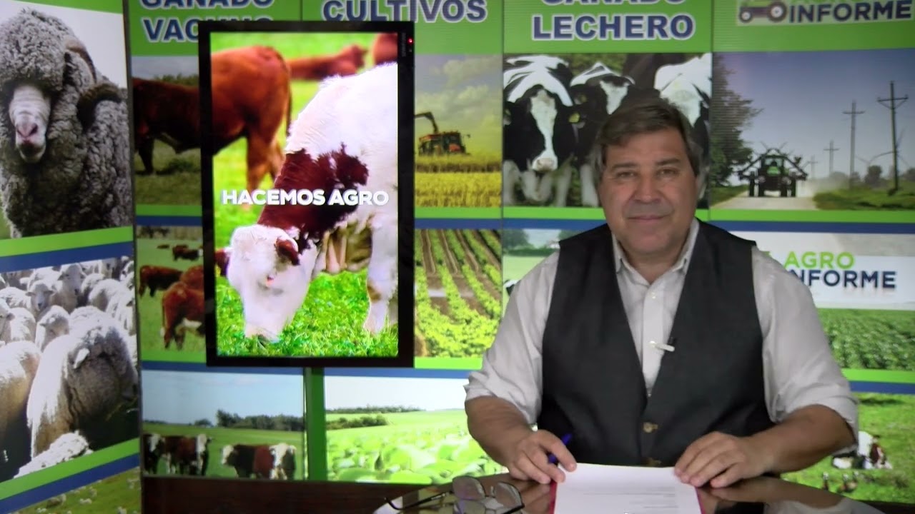 GERARDO ZAMBRANO - REMATES ZAFRA DE TOROS - BLOQUE 3 LUNES 7 DE OCTUBRE DE 2024