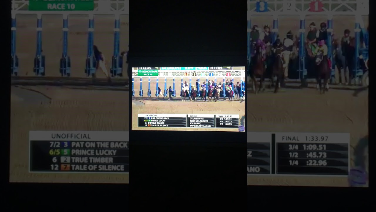 Kelso Stakes at Belmont 2019