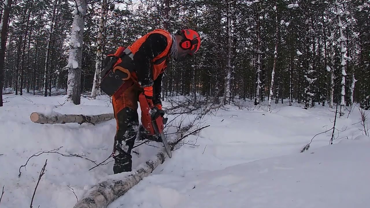Husqvarna 339xp vs. Stihl ms200